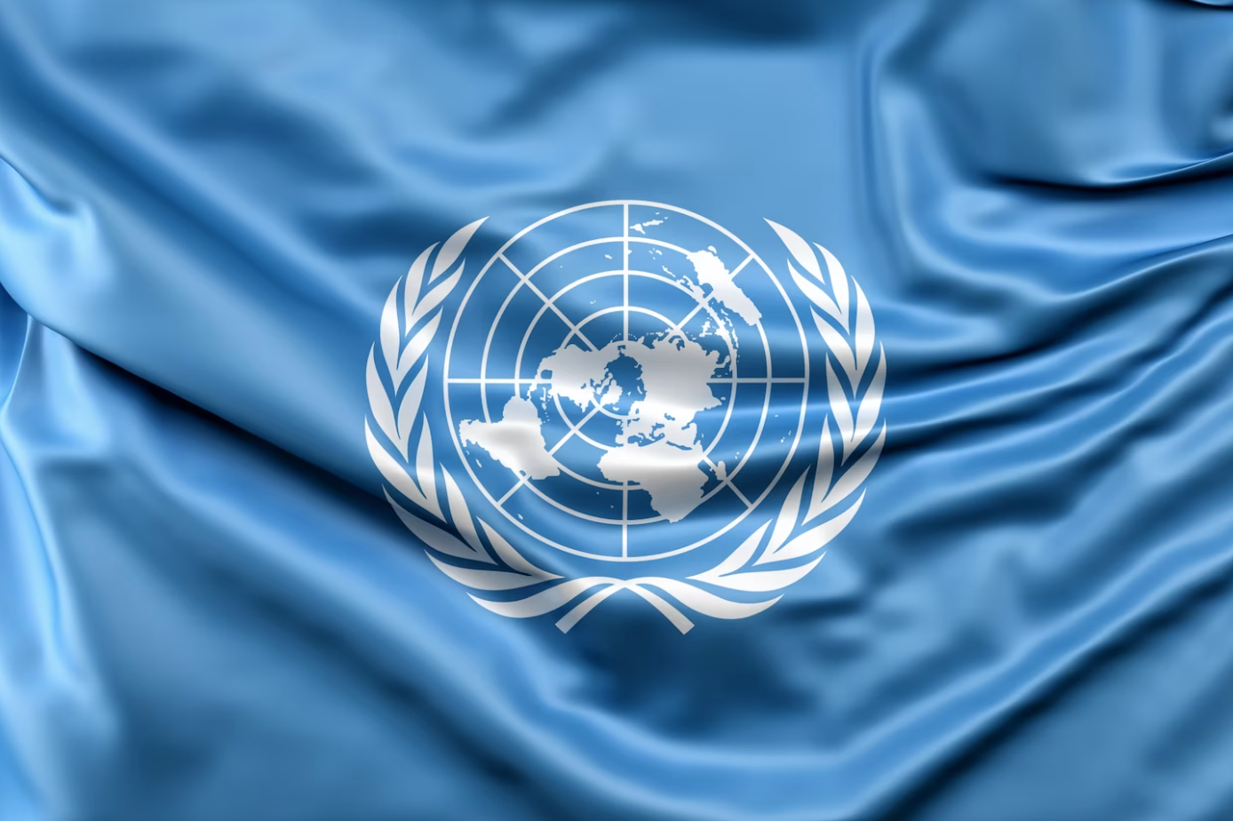 Exploring the Diverse Entities of the UN System and International Organizations